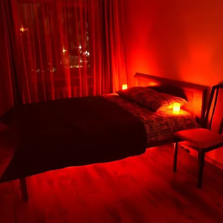 Cat Garden Economy Apartment