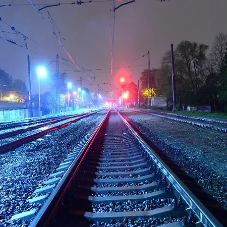 Apartment Cat Garden Economy
