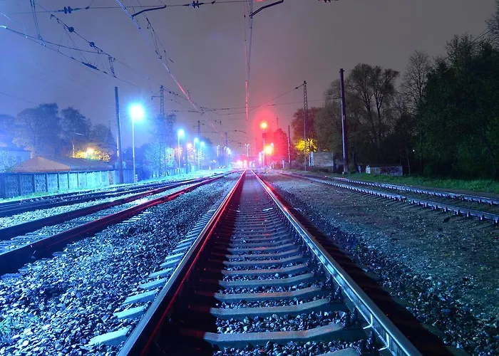 Apartment Cat Garden Economy