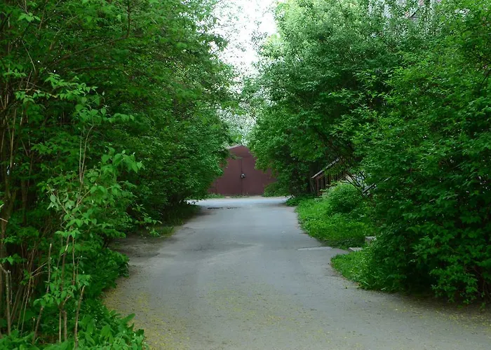 Apartment Cat Garden Economy